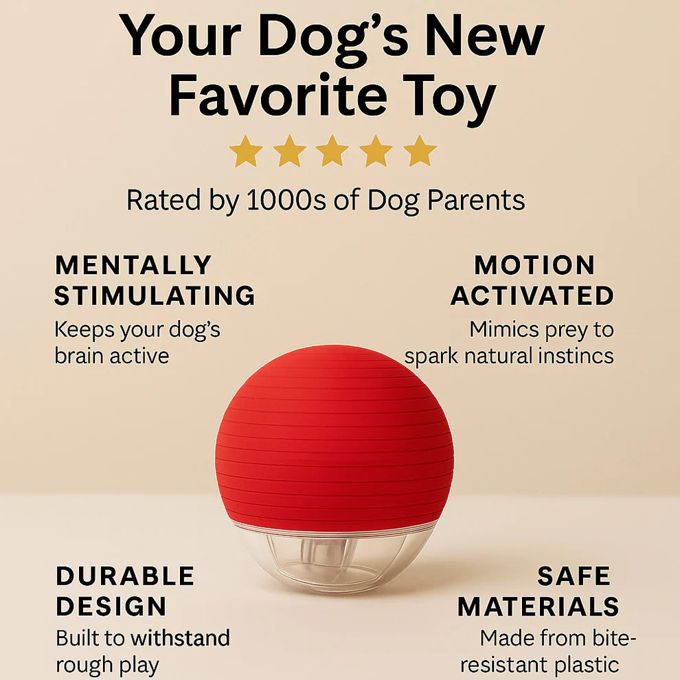 WonderRoll – Smart Interactive Pet Toy