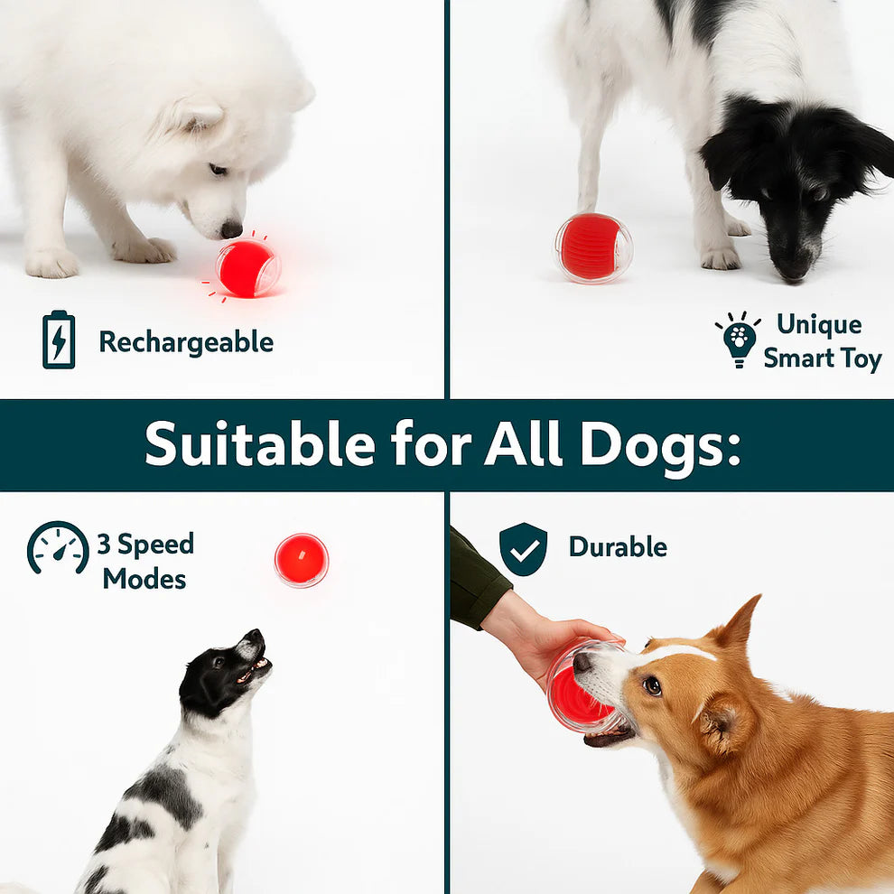 WonderRoll – Smart Interactive Pet Toy