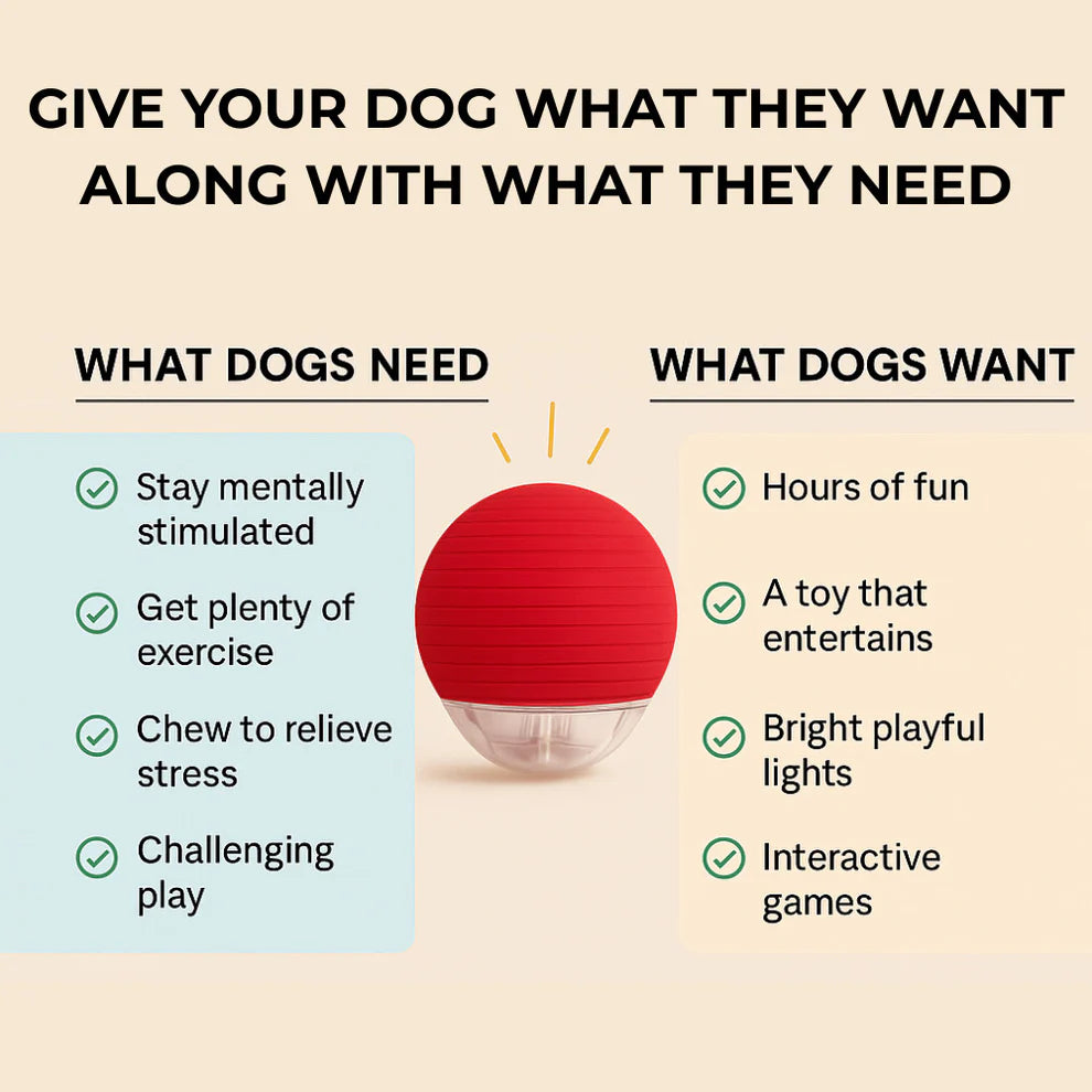 WonderRoll – Smart Interactive Pet Toy