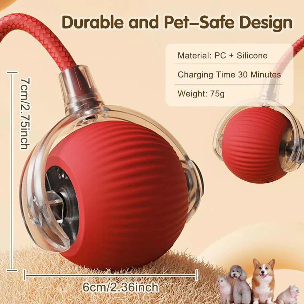 WonderRoll – Smart Interactive Pet Toy