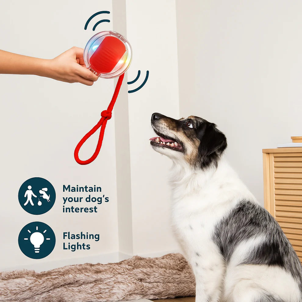 WonderRoll – Smart Interactive Pet Toy