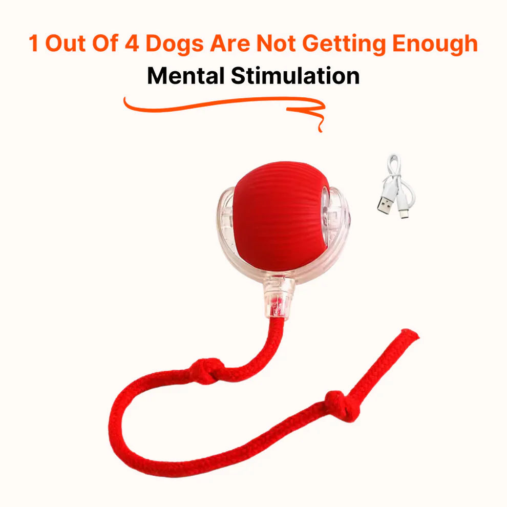 WonderRoll – Smart Interactive Pet Toy
