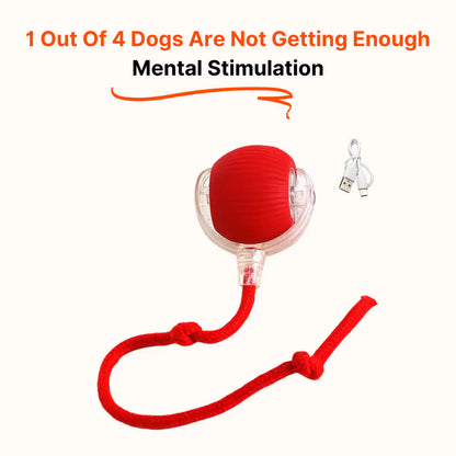 WonderRoll – Smart Interactive Pet Toy
